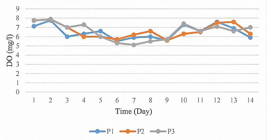 Figure 5. Average Dissolved Oxygen (DO) over 14 days.