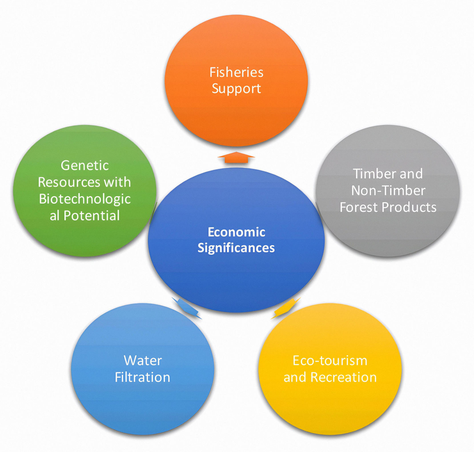 Figure 4. Different economic significances of Mangrove ecosystems.