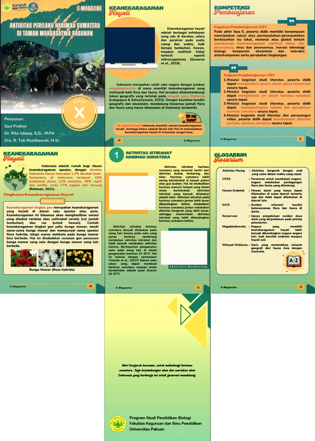 Figure 2. Revisions to the E-Magazine Based on Expert Suggestions.