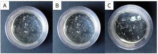Figure 6. Visual appearance of liposomal gel containing ethanol extract. Note: (A) base gel, (B) formulation gel 1 (FG1), and (C) formulation gel 2 (FG2).
