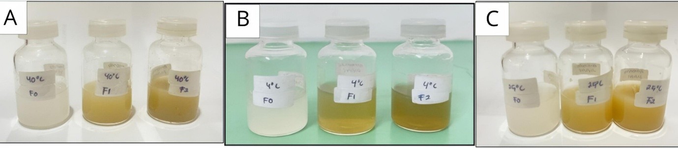 Figure 4. Organoleptic test results of liposomes containing ethanol extract of Centella asiatica (L.) Urban: (A) cold temperature, (B) room temperature, and (C) hot temperature.