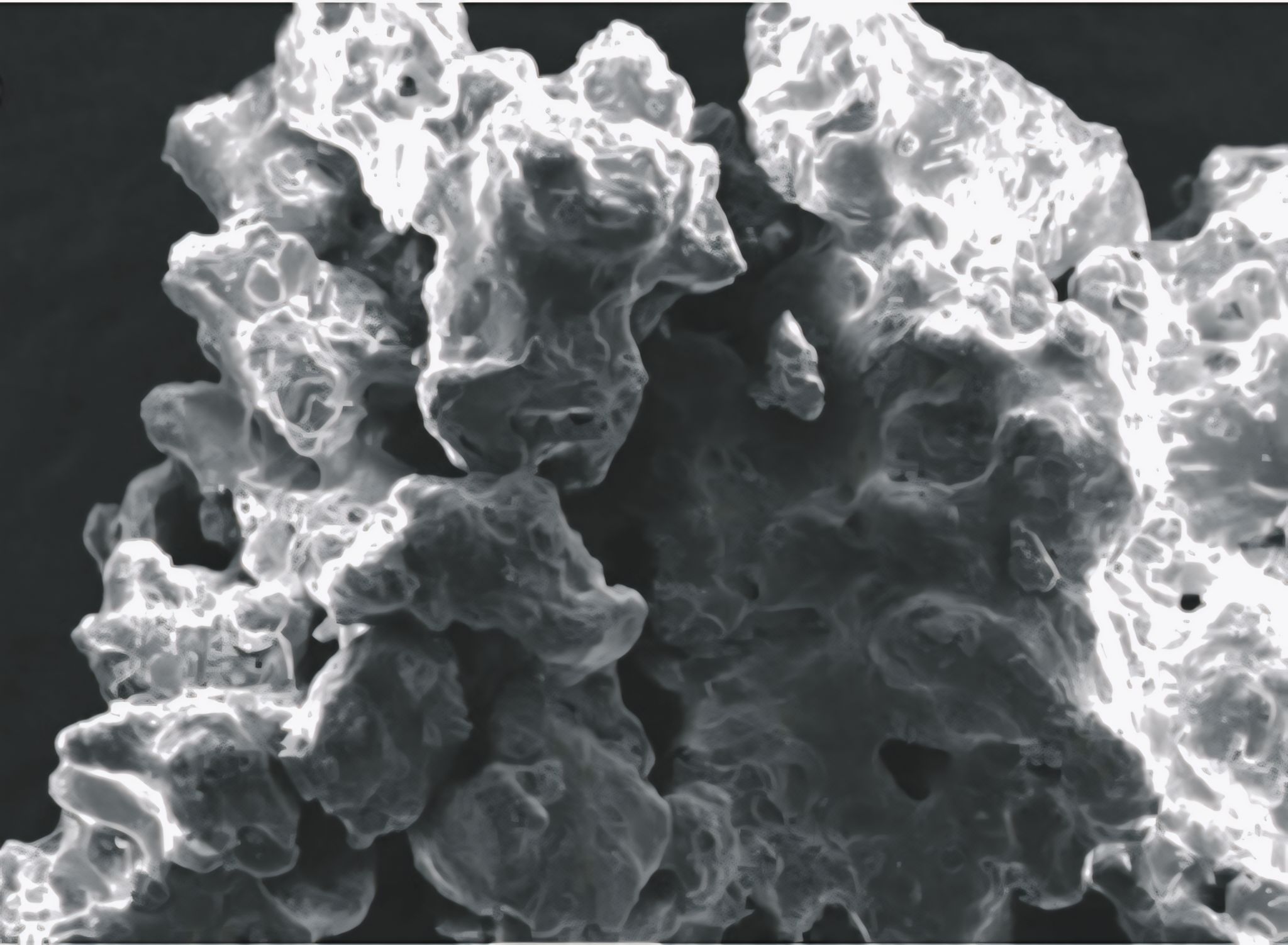 Figure 2. Microcapsule morphology observed by SEM at 150× magnification.