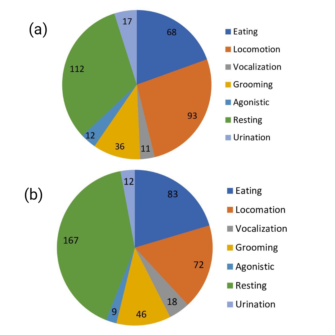 Figure 2. Average daily activity duration (min) of male (Ukis) (a) and female (Kiskis) (b) Sumatran tigers.