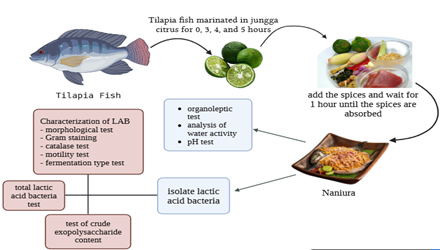 Figure 1. Research process.