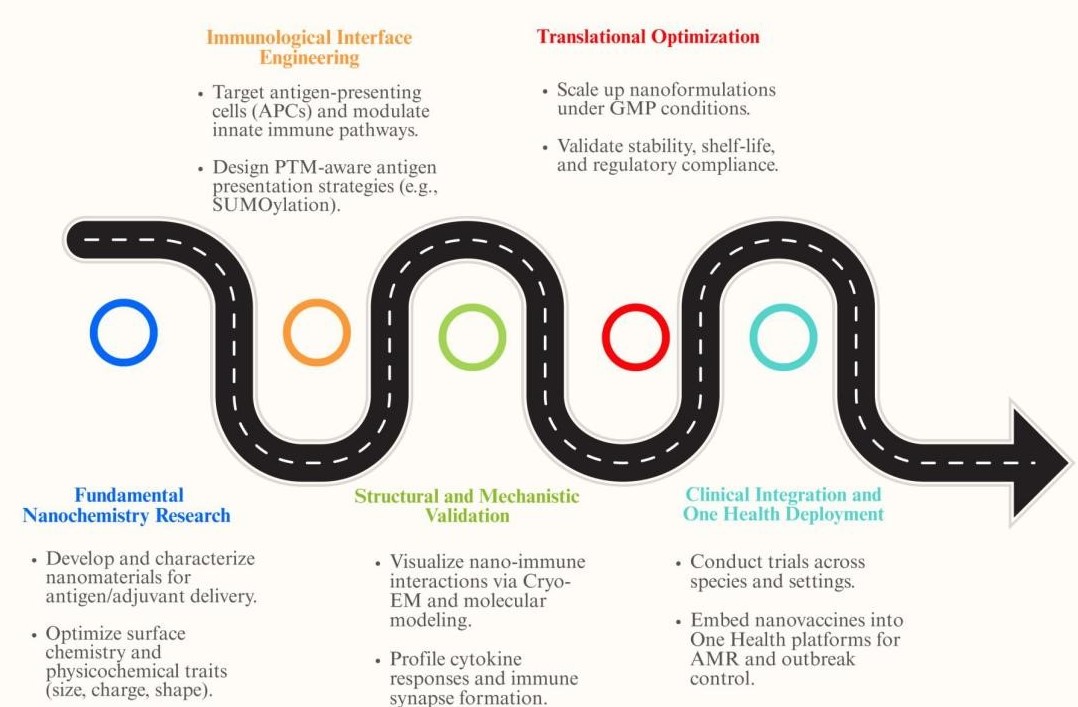 Figure 5. Research road map for nanochemistry-driven vaccine innovation.