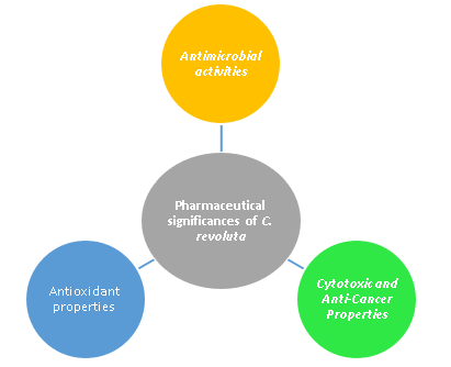 Figure 5. Pharmaceutical significances of C. revoluta.