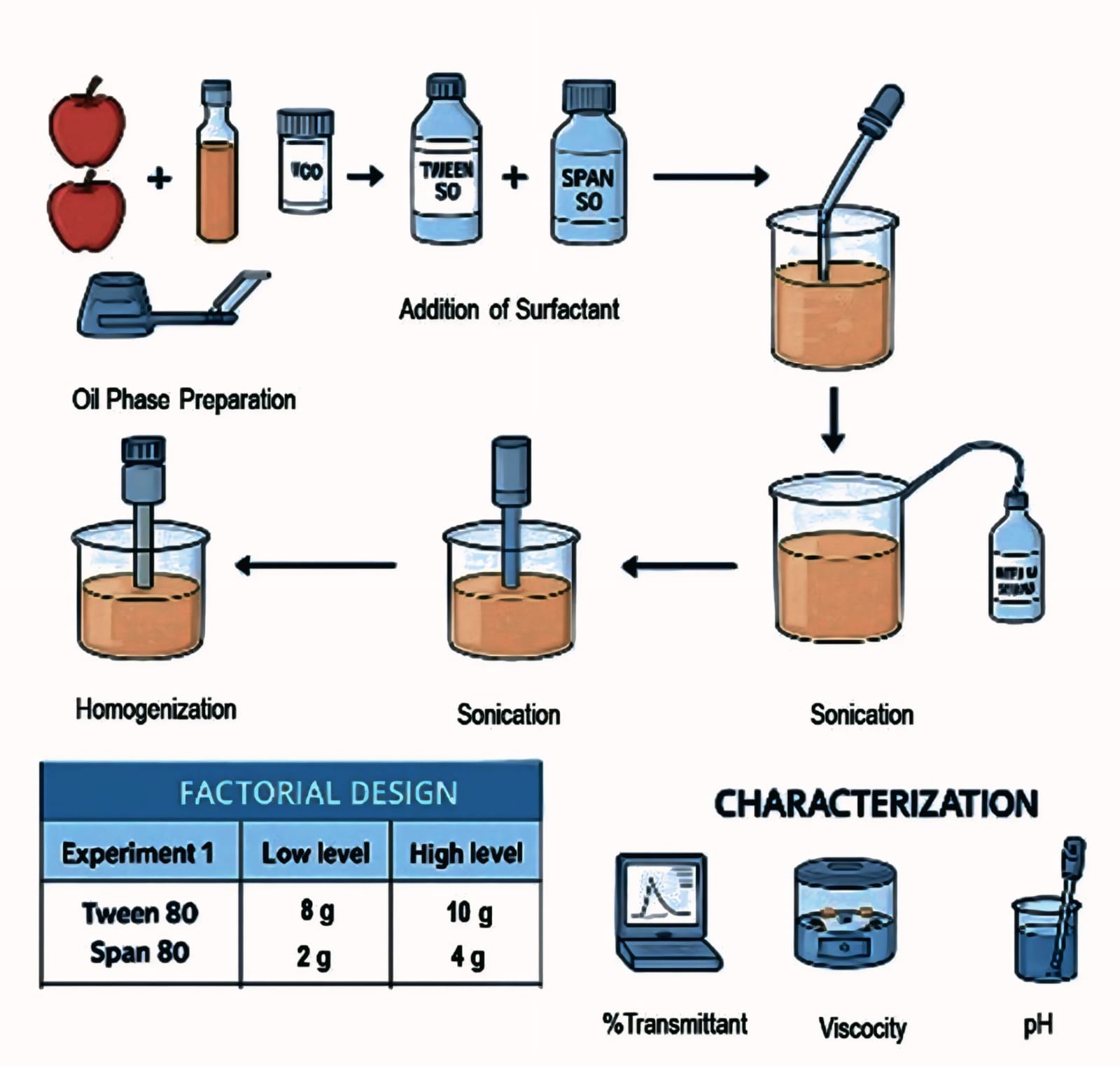 Figure 1. Formulation and characterization scheme
