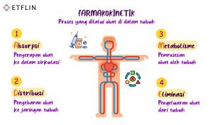 Pengenalan Farmakokinetik