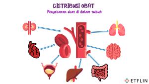 Prinsip distribusi obat dalam farmakokinetik