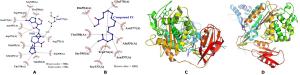 Phytochemical Analysis, In-vitro, and In-silico Antibacterial Activity of Stembark Extract of Anogeissus leiocarpus (DC) Guill and Perr Figures