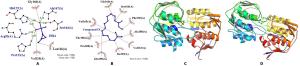 Phytochemical Analysis, In-vitro, and In-silico Antibacterial Activity of Stembark Extract of Anogeissus leiocarpus (DC) Guill and Perr Figures