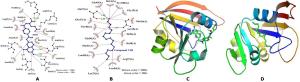 Phytochemical Analysis, In-vitro, and In-silico Antibacterial Activity of Stembark Extract of Anogeissus leiocarpus (DC) Guill and Perr Figures