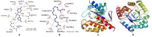 Phytochemical Analysis, In-vitro, and In-silico Antibacterial Activity of Stembark Extract of Anogeissus leiocarpus (DC) Guill and Perr Figures