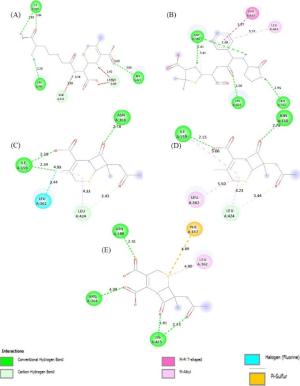 In Silico Design and Screening of Cephalosporin Derivatives for Their Inhibitory Potential Against Haemophilus influenza Figures