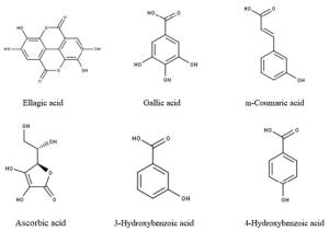 An updated review of Rubus ellipticus (an edible shrub), its bioactive constituents and functional properties Figures