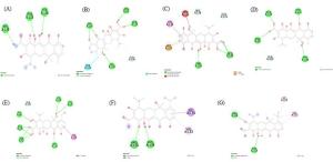 Design and Screening of Tetracycline Antibiotics: An In Silico Approach Figures