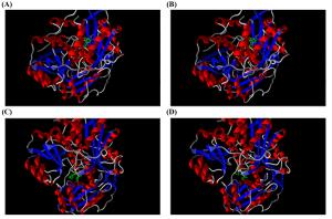Inhibitory Effect of Herbal Compounds on the Oxygen-Insensitive NADPH Nitro Reductase Enzyme of Metronidazole-Resistant Helicobacter pylori Figures