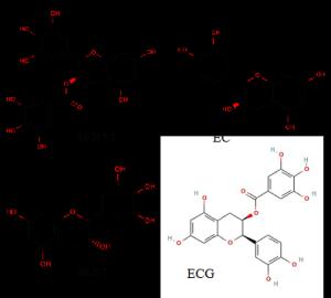 A Review Focusing on the Benefits of Green Tea Catechins as Nutraceuticals Figures