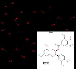 A review focusing on the benefits of green tea catechins as nutraceuticals

 Figures