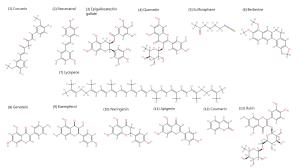 Phytochemicals Modify the Action of Cancer Cells Mitochondrial Drug-Resistance Mechanism Figures