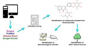 Pharmacological activities of bioactive compounds isolated from Acacia pennata (L) Willd: A comprehensive update and application of in-silico techniques for repurposing Figures