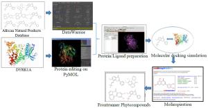 In-silico study for African plants with possible beta-cell regeneration effect through inhibition of DYRK1A Figures