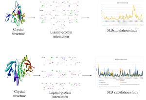 Computational Studies of Bridelia Retusa Phytochemicals for the Identification of Promising Molecules with Inhibitory Potential Against the Spike Protein and Papain-Like Protease of SARS-CoV-2 Figures