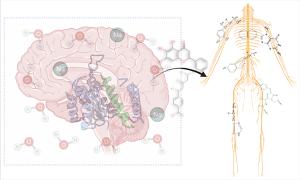 Neuromodulatory effect of plant metabolites Figures