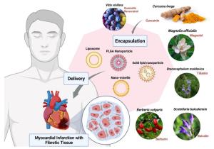 NanoPhytoformulations: what is so interesting about the nanoscale? Figures