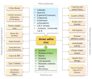 Ethnobotany and Phytopharmacology of Avena sativa: A Qualitative Review Figures