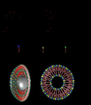 Novasome: Combining Ufasome and Niosome for Excellent Vesicular Drug Delivery System Figures