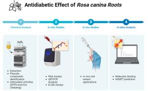 Bioactive Compounds of Rosa canina L. and Their Effect on Tumor Necrosis Factor-α and Interleukin-1β Activity in Diabetes-Induced Rats Figures
