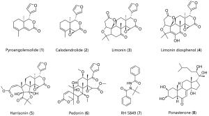 In Silico Larvicidal Activity Study of Six Limonoids Against Mosquito Larvae (Aedes aegypti L.) Ecdysone Receptor Protein Figures