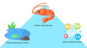Study of Mineral Content in Pond Water for Traditional Farming of Black Tiger Shrimp (Penaeus monodon) in Tarakan City Figures