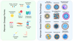 NLP Analysis of Mannan-Based Drug Delivery Trends Figures