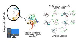 Antimalarial Activity of Globimetula oreophila Compounds: In Silico Docking Investigations on Plasmodium falciparum Protease Figures