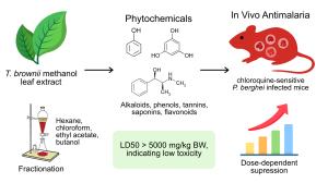 Exploring the Anti-Malarial Potential of Terminalia brownii Fresen: A Phytochemical and Biological Activity Study Figures