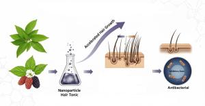 Hair Growth and Antibacterial Effects of Nanoparticle-Based Cosmeceutical Tonic from Pogostemon cablin and Morus alba Leaves Figures