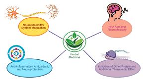 Phytochemical Modulation of Neurotransmitter Systems and Neuroplasticity in Depression and Anxiety: A Mechanistic Review Figures