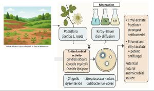 Evaluation of Antimicrobial Properties of Passiflora foetida Root Extract Sourced from Rehabilitated Coal Mining Sites in East Kalimantan Figures
