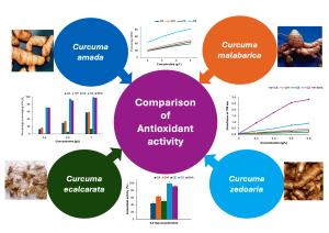 Comparative Antioxidant and Antiradical Potentials of Four Curcuma species Figures