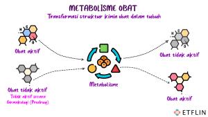 Prinsip metabolisme dan eliminasi obat dalam tubuh
